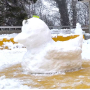 canard_neige_nachricht.png