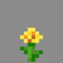 yellow_flower.png